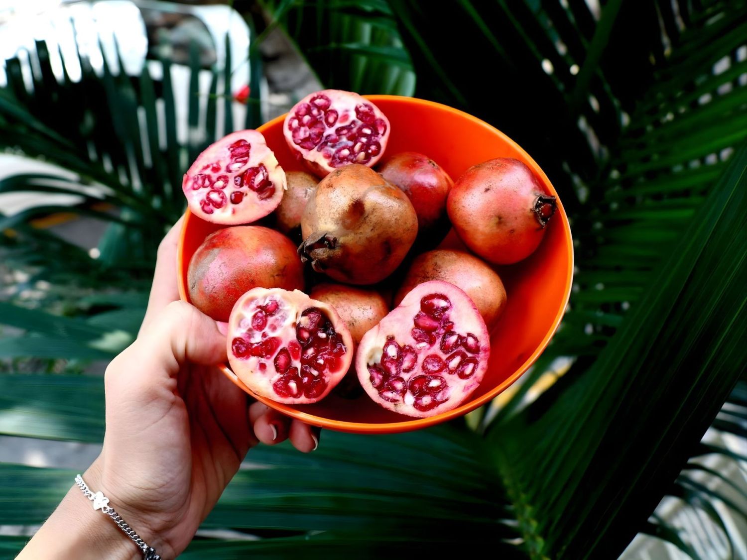 Proprietà e benefici del succo di Melograno